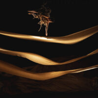 PLI_Rungis2021_LoicNys_print-153