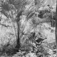 Troisème MiNiature - Demestri - lefeuvre